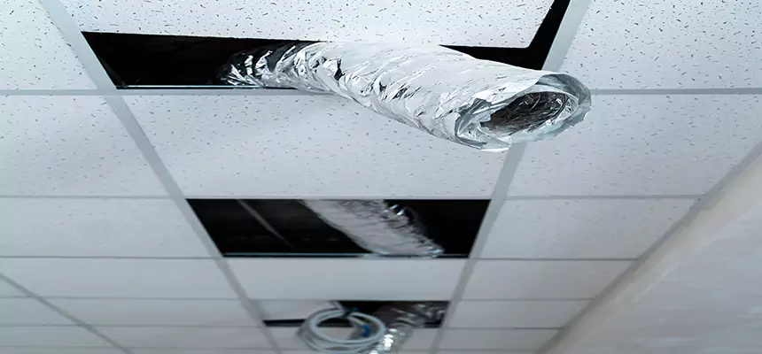 Our Air Duct Pet Hair Removal Services in Stanton, CA