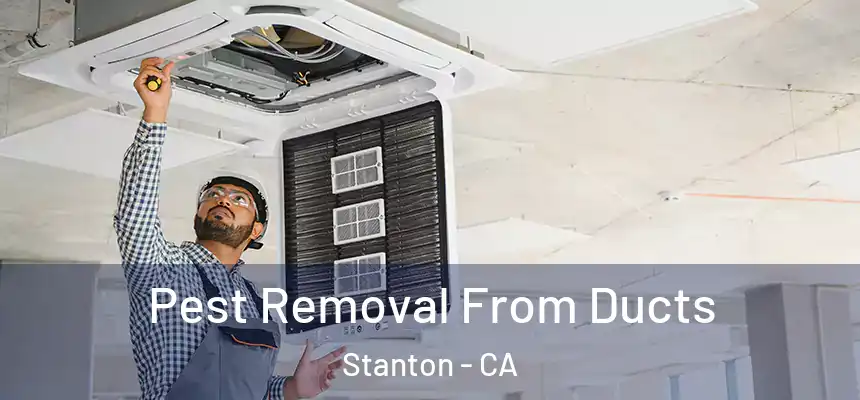  Pest Removal From Ducts Stanton - CA