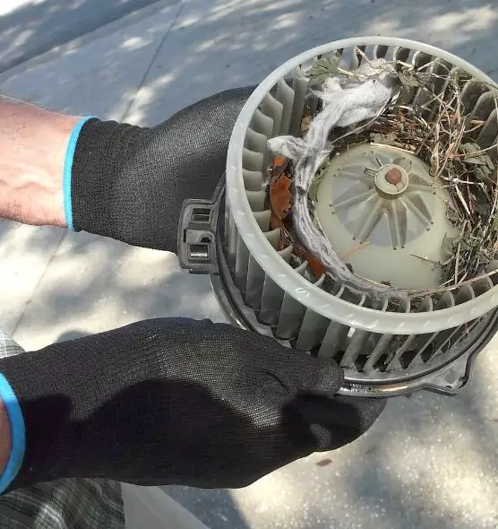 About Air Duct Mice Removal in Stanton, CA