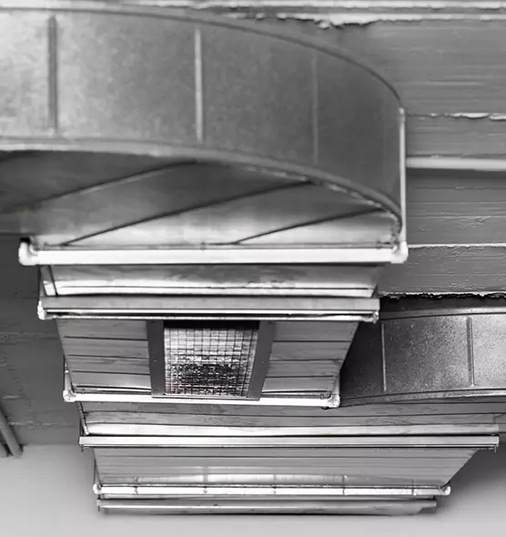 Professional Air Duct Pest Removal in Stanton, CA