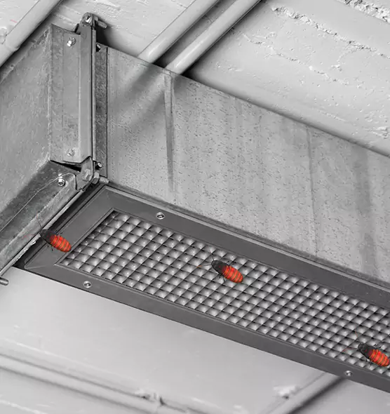 Affordable Insect Removal from Air Ducts in Stanton, CA