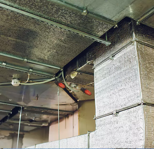 Why Homeowners & Businesses Trust Us in Stanton, CA?